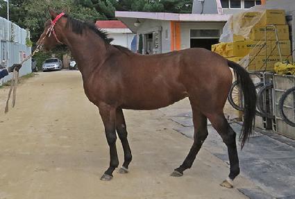 �޴��� ����