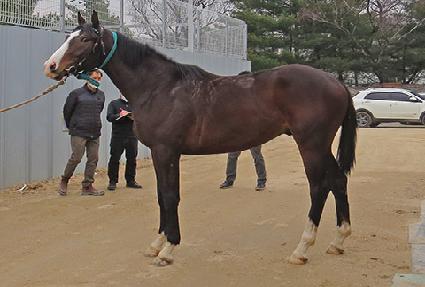 ��Ʈ���� ����