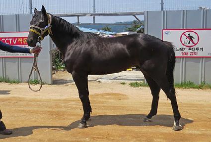 ƿƮ�÷��� ����