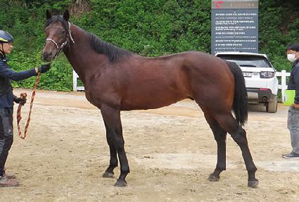 �ư��Ǽ��� ����