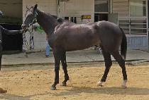 �¸����� (SEUNGNI GONGJU) ����