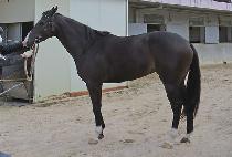 ���긮�� (EVERY CHARM) ����