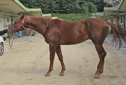 ����� ����