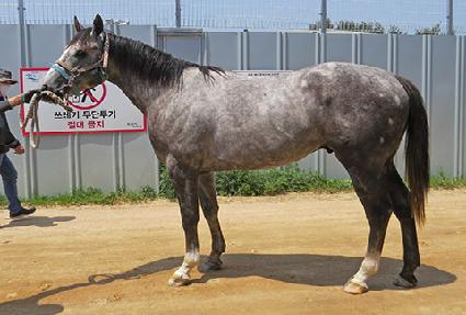 ��ũ�÷��� ����