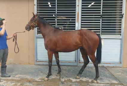 ���������� ����