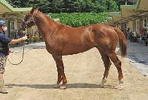 ����ī�캸�� (WALTZ COWBOY) ����