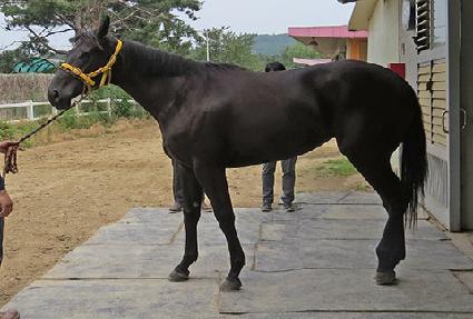 ĵ��۷ο� ����