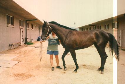 �Ʒõ��� ����