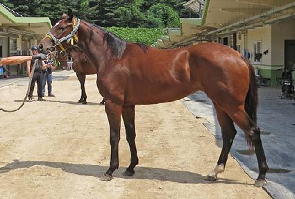 �Ѿ�Ŀ�� ����