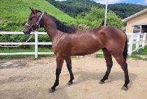 �츮���Բ� (URI DAHAMKKE) ����