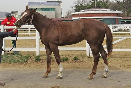 ���ۿ� ����