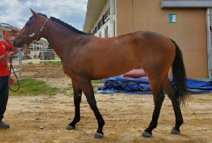 ���ַ̹� ����