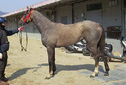 ������ũ��� ����