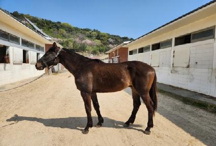 ����Ʈ���� ����