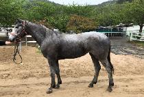 ����Ž��� (AMBITIOUS GIRL) ����