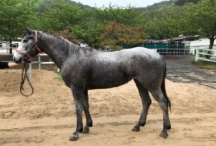 ����Ž��� ����