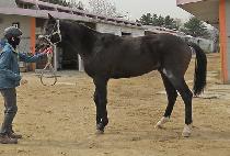 ���������� (MAGIC WITH YOU) ����