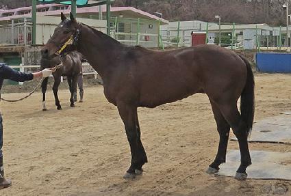 ������Ʈ�� ����