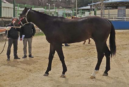 ��׺��� ����