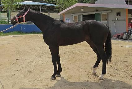 ��������Ʈ ����