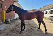 ���ڵ���ũ (CONCORD PARK) ����