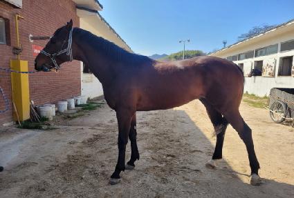 ���ڵ���ũ ����