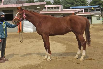 ���������� ����