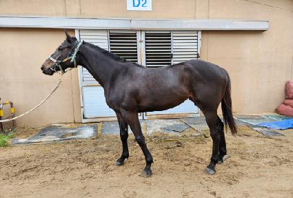 �׷���Ʈ�� ����