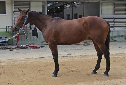 ��ȣ���� ����