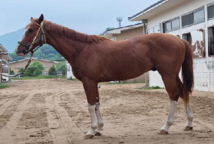 ����ŷ ����