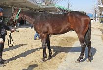 �����̸���� (TODAY REMEMBER) ����