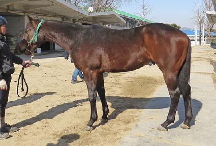 �����̸���� ����