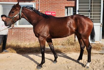 ����Ʈ�Ƹ��� ����