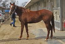 Ŭ������ (CLAIR GOLD) ����