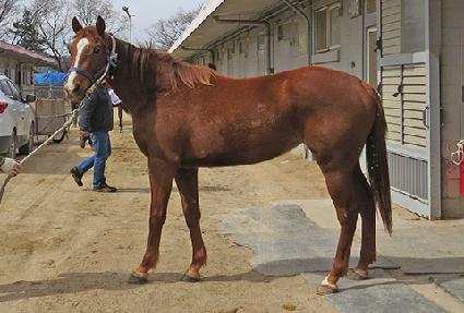 Ŭ������ ����