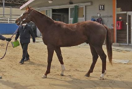 ���̾�Ʈ���� ����