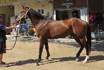 CAPTAIN MUSIC picture