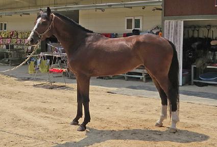 �Ƹ������� ����