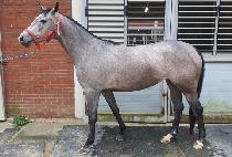 THE LUCKY ONE picture