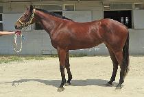 MODERN DANCE picture