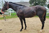 SEOGWI OREUM picture