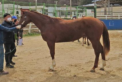 �ö���ī��� ����