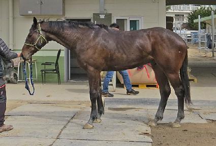 �屺���� ����