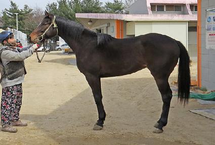 �ż��ĵ� ����