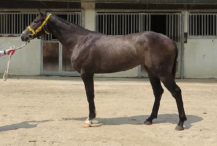 ��´����ζ� ����