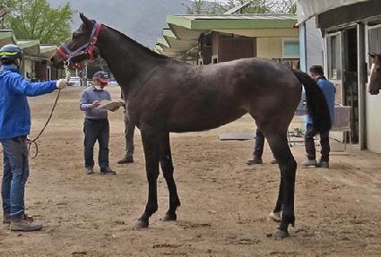 ��´���Ÿ ����