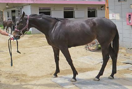 �����¾��� ����