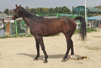 ��ŸƮ�� ����