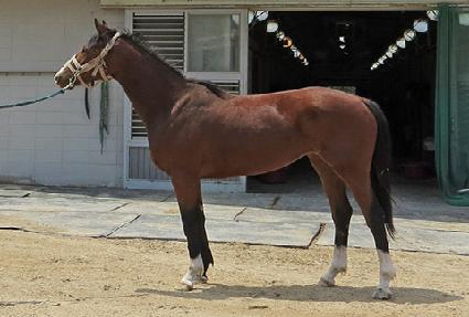 �ް����� ����