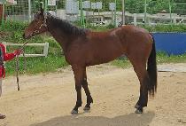 �޺������� (DALBITJOGAKSA) ����